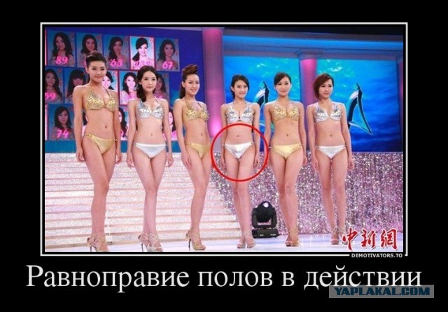 Дамы,вы точно за равноправие?