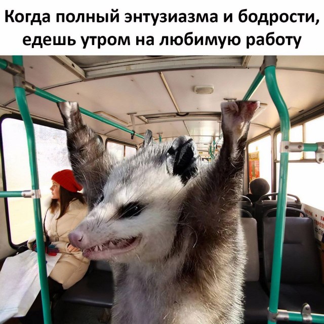 Завалялось тут случайно немного забавных картинок