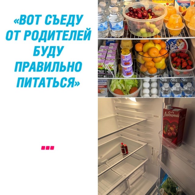 Весёлый полтишок 22.11.24
