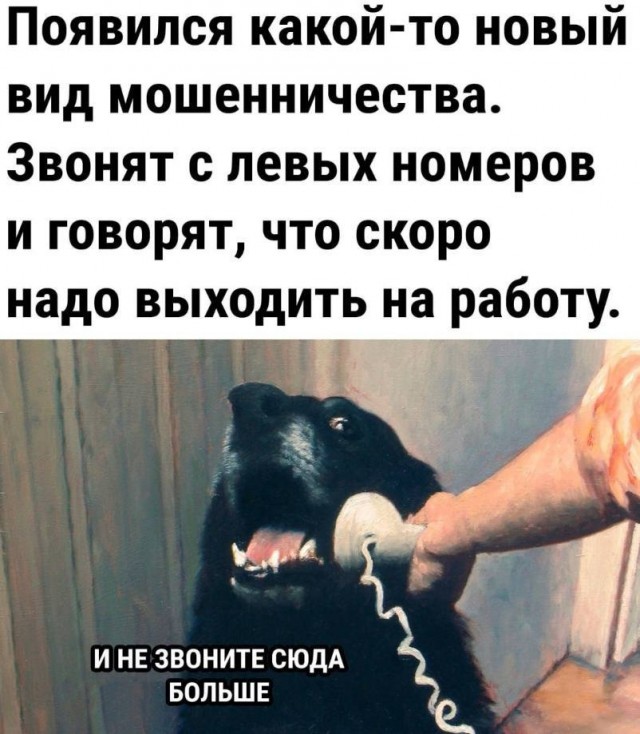 Веселые картинки после длинных выходных (09.01)