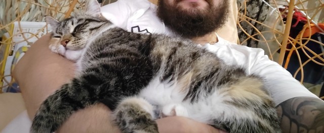 10 лет