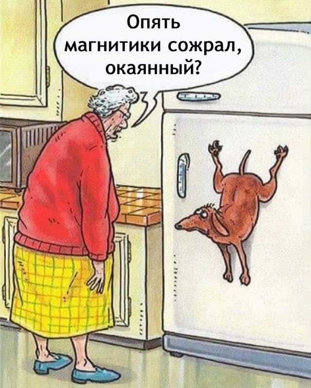 Так себе картинки 22.03.25