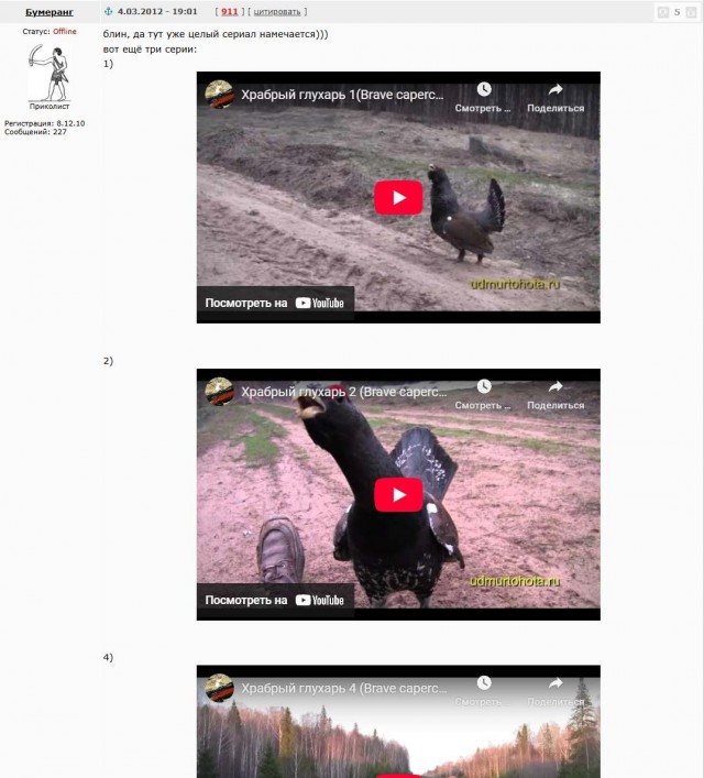 Обуревший глухарь.