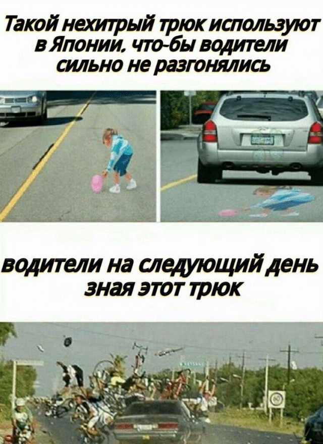 Весёлый полтишок 06.06.25