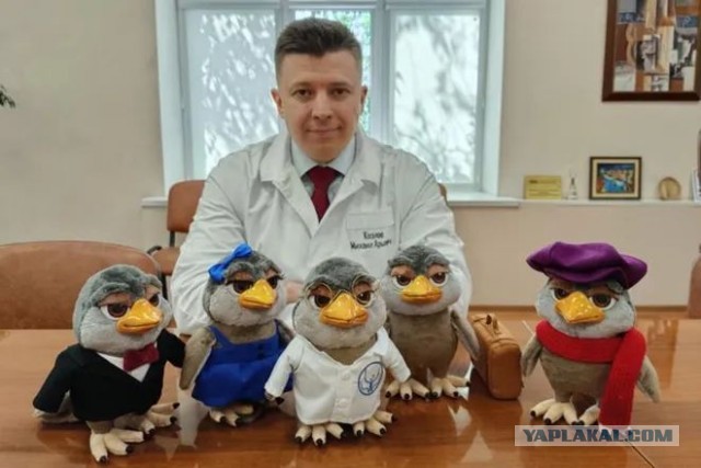 Завалялось тут случайно немного забавных картинок
