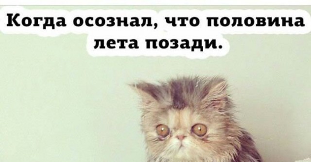 Уже макушка лета