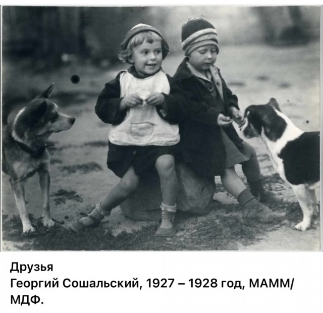 Фотографии о прошлом, открывающие историю с новой стороны 23.07.25