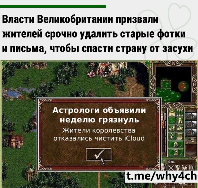 И у них идиоты