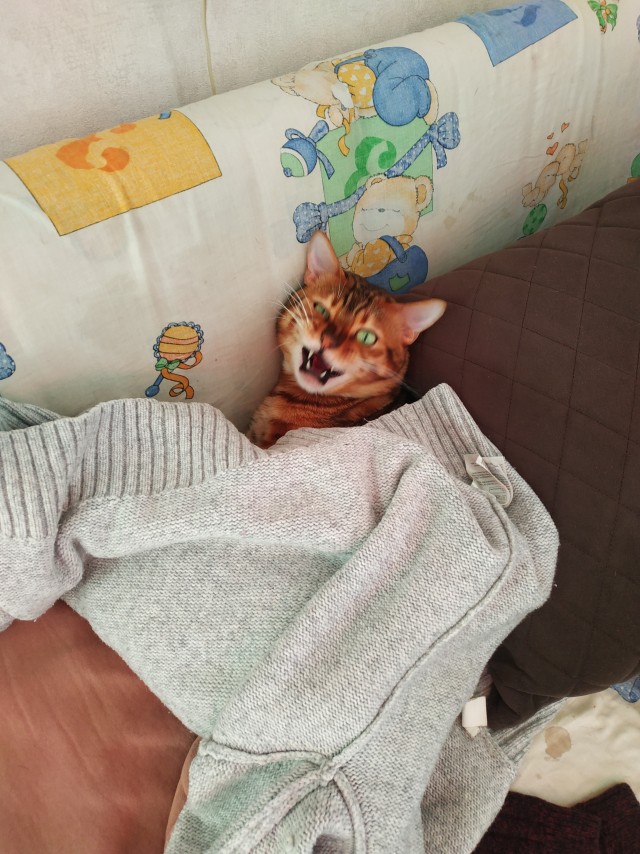 Клуб рабов пополнился