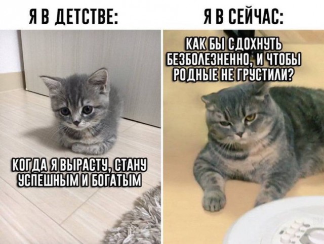 Дегронимикон