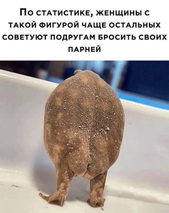 Картинки для деградации 128 (разной степени свежести)