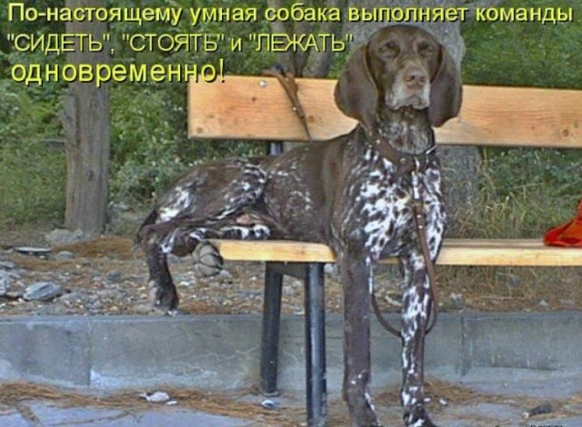 Вторника картинки