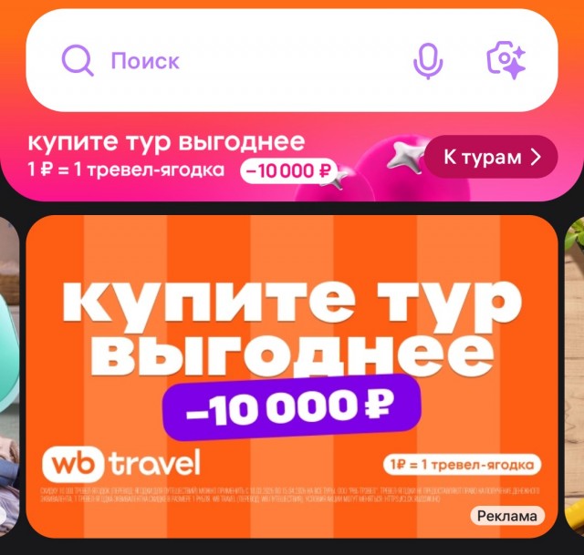 Wildberries садится за штурвал: маркетплейс собирается купить авиакомпанию Azur Air