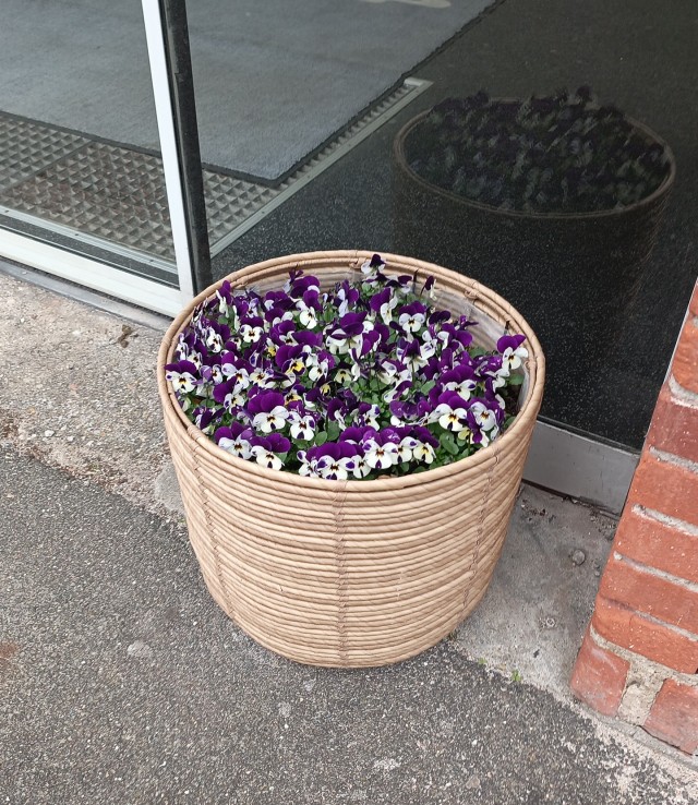 Обнаружен враг!