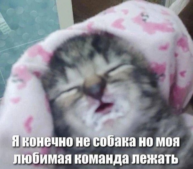 Субботние картинки