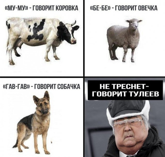 Так себе картинки 17.06.26