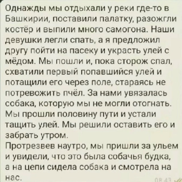Так себе картинки 27.06.26