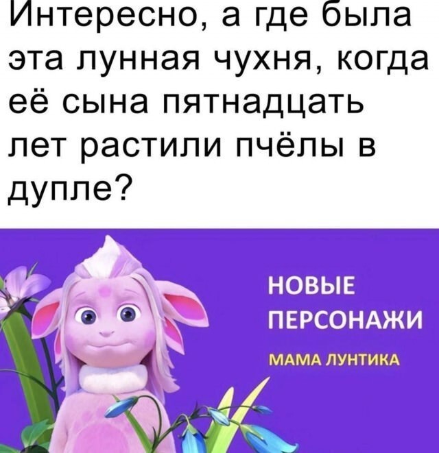 Картинки для деградации 262 (разной степени свежести)