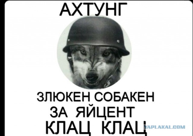 Фигни пост