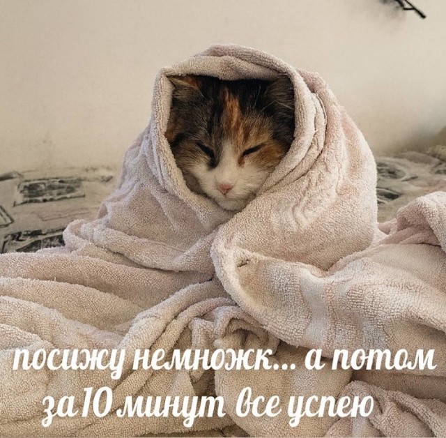 Так себе картинки 01.09.26