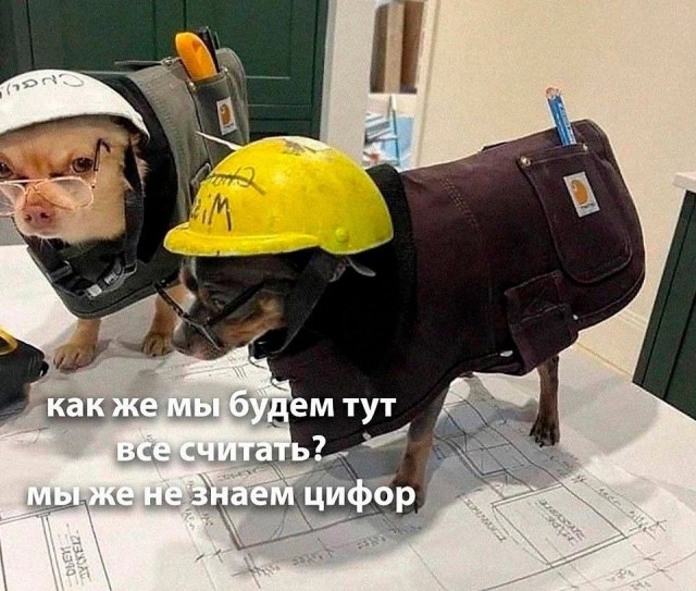Из зимы в лето. Поездка в ЮАР