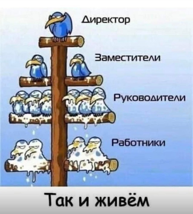 Поставили скамейки возле спорт площадки.