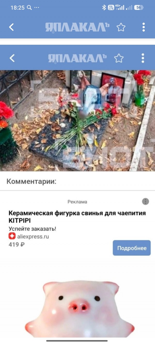 Свиную голову с надписями на латыни подложили к могиле музыканта Егора Летова в Омске.