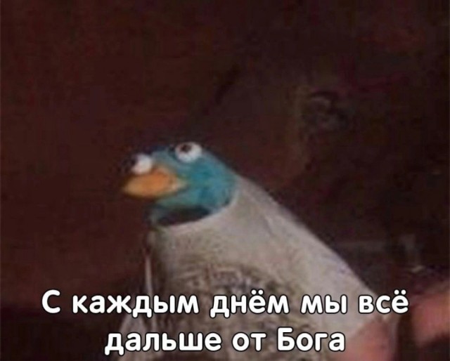 Высокая кухня⁠