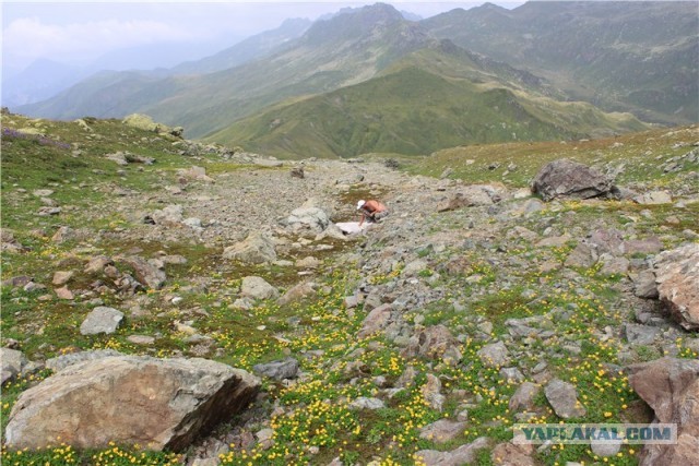 В горах. Абхазия.