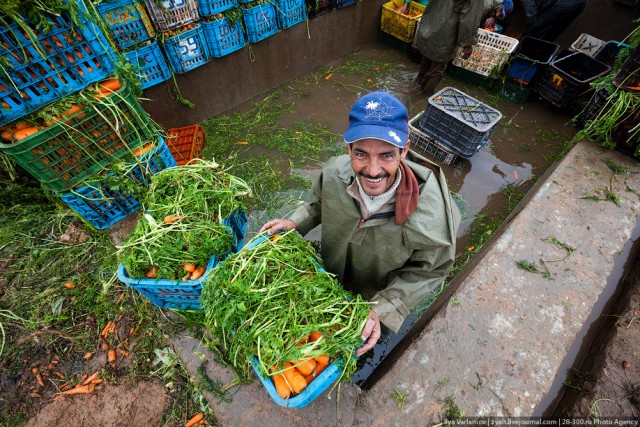 Марокканский "колхоз" - на уборке овощей