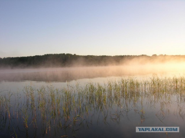 Как я отдыхаю