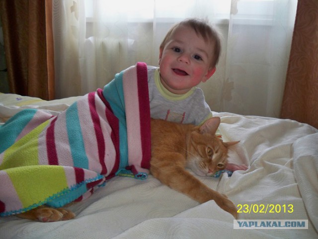 Такая вот любовь.