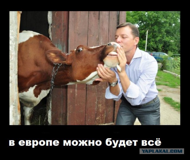 А. Шевченко ударил Ляшко