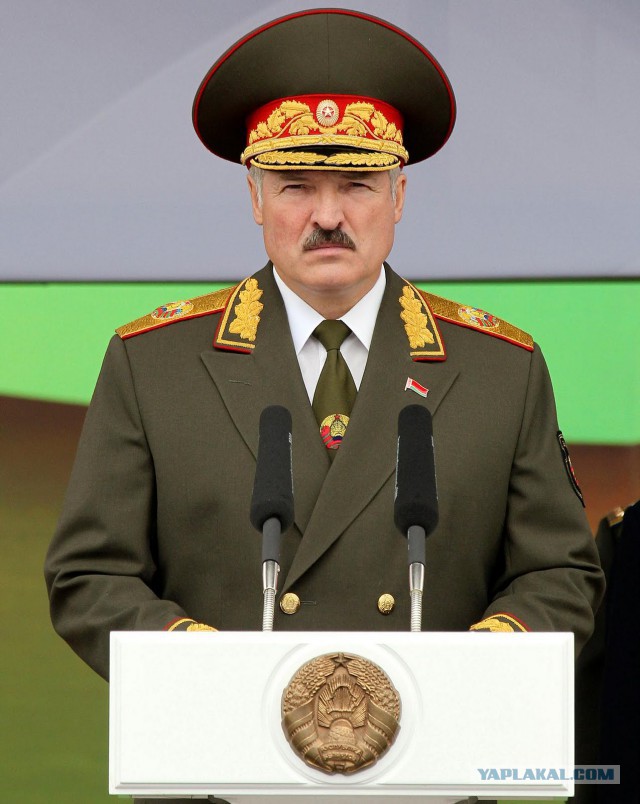 Символы стран в животных