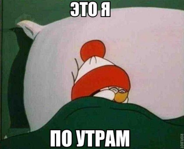 Весёлое из сети