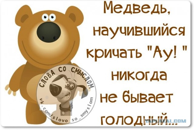 Веселые жизненные наблюдения из Вредного журнала