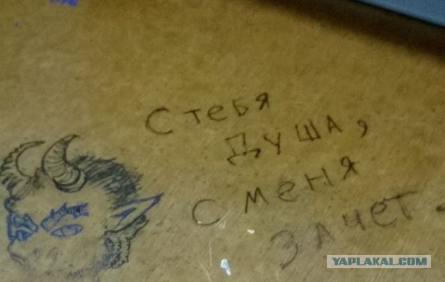 Мешанина прикольных картинок из сети