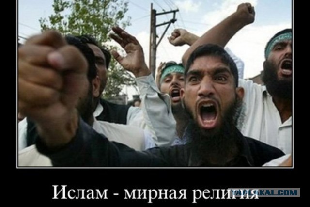 Истинное лицо несчастных европейских беженцев.