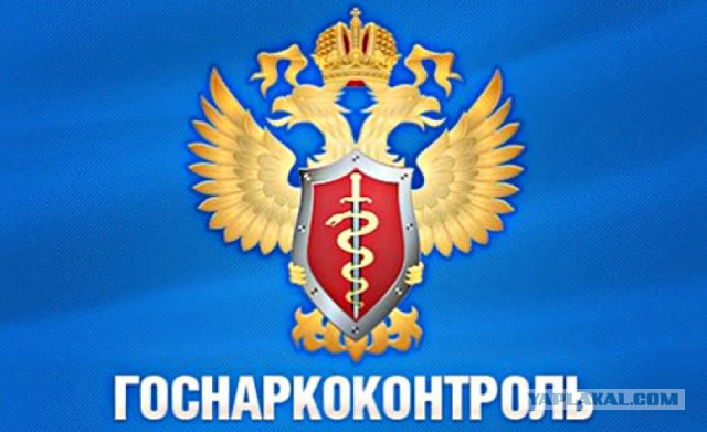 Разрыв мозга, видео