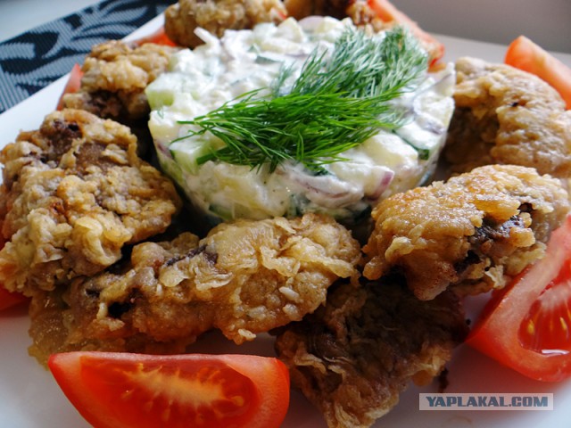 Психокулинария. День открытых дверей.