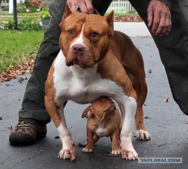 Интересные и веселые картинки