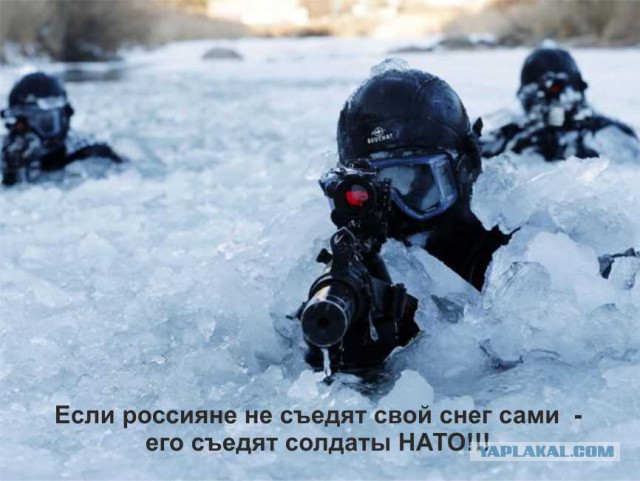 Песков подтвердил готовность россиян «есть снег» в условиях санкций