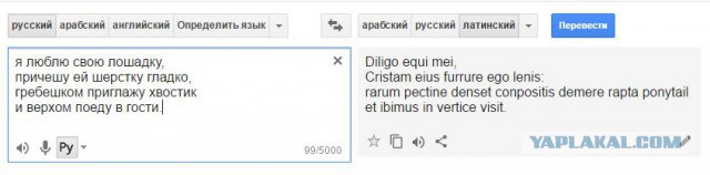 Трудности перевода