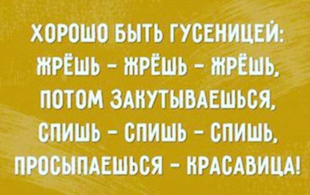 Смешные комментарии 23.04.2017