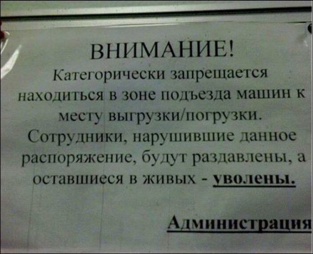 Пятничные ерундушки