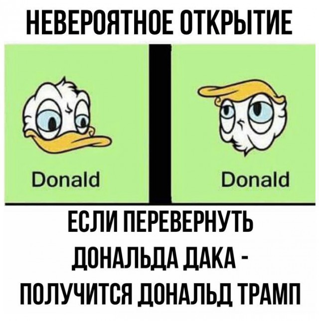 Подборка интересных и веселых картинок