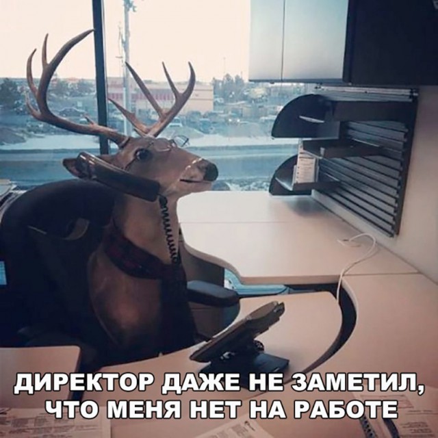 Подборка интересных и веселых картинок