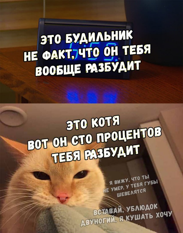 Нестандартный юмор