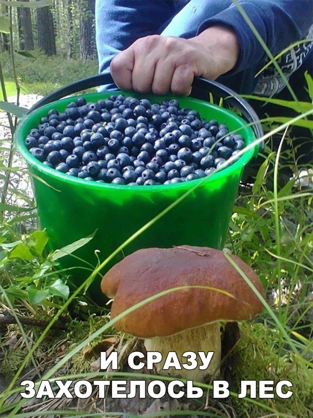 Прикольные картинки абавсём