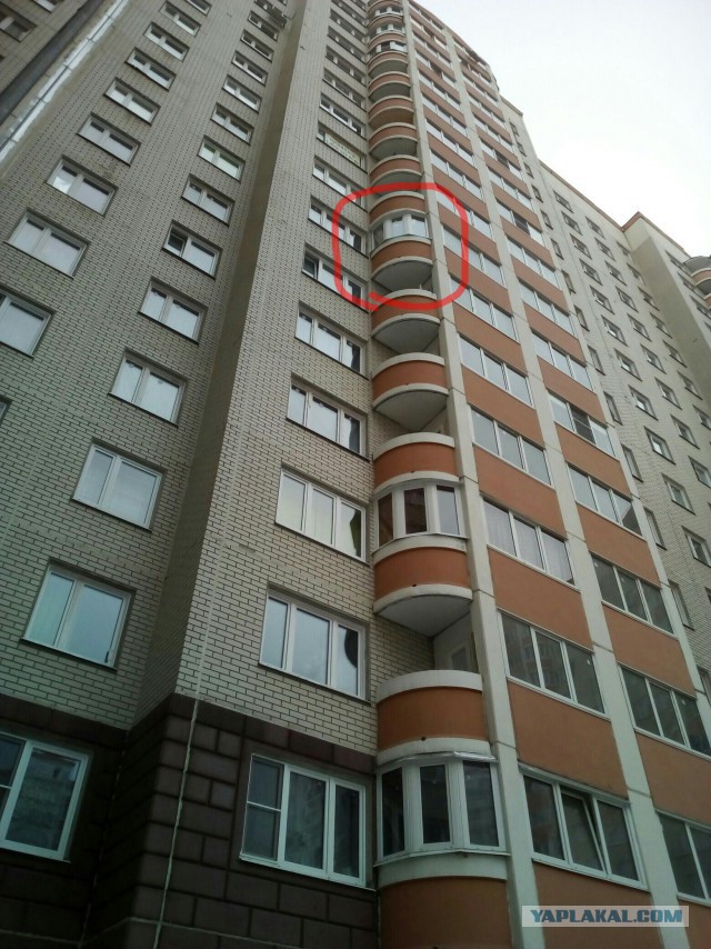 Предлагаем остекление и отделку балконов и лоджий в г. Москве и Московской области